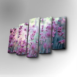 Wallity Cuadro Decorativo en Lienzo 5 Piezas 5PUC-053 Multicolor